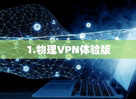 1.物理VPN体验版