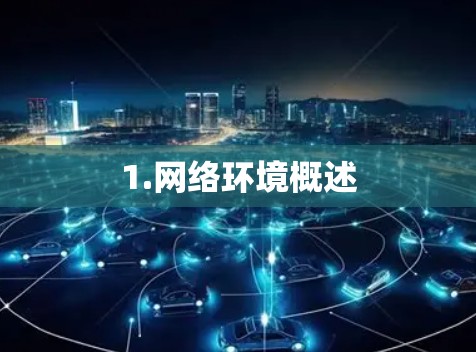 1.网络环境概述