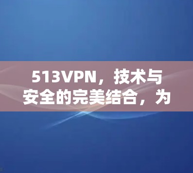 513VPN,技术与安全的完美结合,为您的网络带来更安全的未来 513VPN,技术与安全的完美结合,为您的网络带来更安全的未来