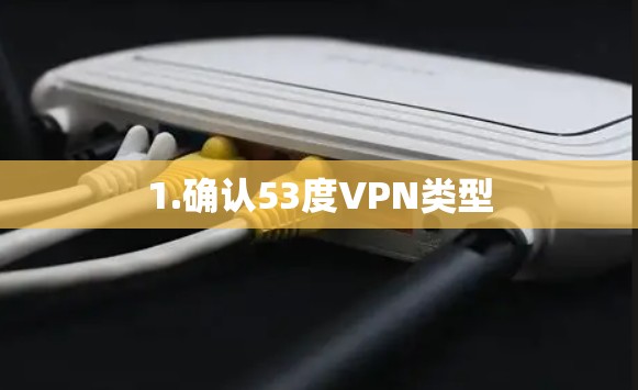 1.确认53度VPN类型 1.确认53度VPN类型