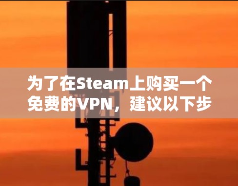 为了在Steam上购买一个免费的VPN，建议以下步骤