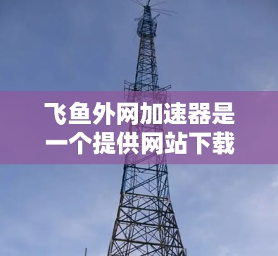 飞鱼外网加速器是一个提供网站下载加速服务的平台，旨在帮助用户更快地下载需要的资源。以下是对飞鱼外网加速器的详细说明