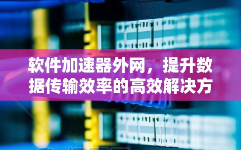 软件加速器外网,提升数据传输效率的高效解决方案 软件加速器外网,提升数据传输效率的高效解决方案