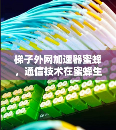 梯子外网加速器蜜蜂,通信技术在蜜蜂生态中的应用与未来展望 梯子外网加速器蜜蜂,通信技术在蜜蜂生态中的应用与未来展望