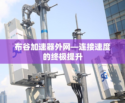 布谷加速器外网—连接速度的终极提升 布谷加速器外网—连接速度的终极提升