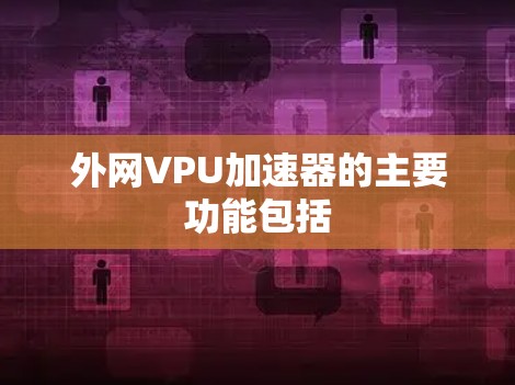 外网VPU加速器的主要功能包括