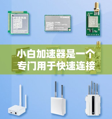小白加速器是一个专门用于快速连接到ISP服务器的工具，帮助用户快速访问互联网。以下是使用小白加速器的基本步骤
