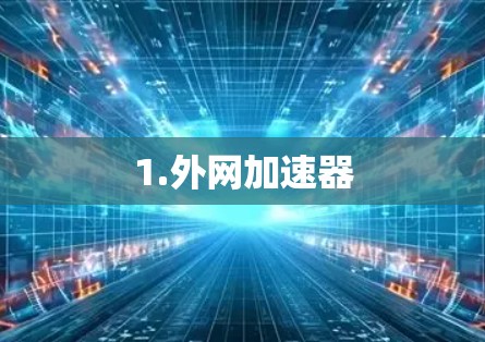 1.外网加速器 1.外网加速器