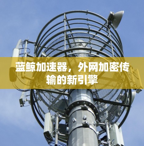 蓝鲸加速器,外网加密传输的新引擎 蓝鲸加速器,外网加密传输的新引擎