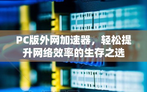 PC版外网加速器,轻松提升网络效率的生存之选 PC版外网加速器,轻松提升网络效率的生存之选