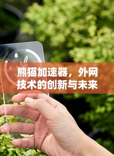 熊猫加速器，外网技术的创新与未来展望