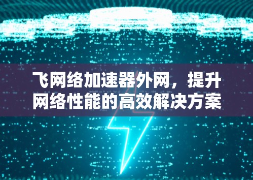 飞网络加速器外网,提升网络性能的高效解决方案 飞网络加速器外网,提升网络性能的高效解决方案