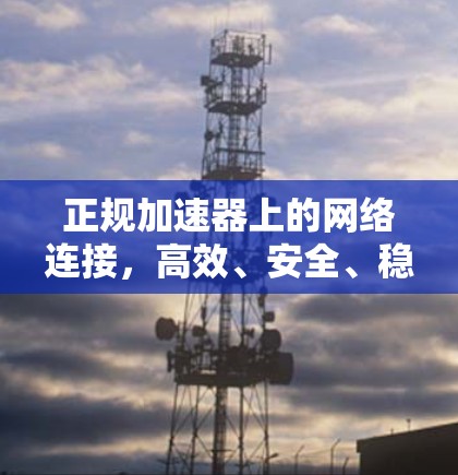 正规加速器上的网络连接，高效、安全、稳定