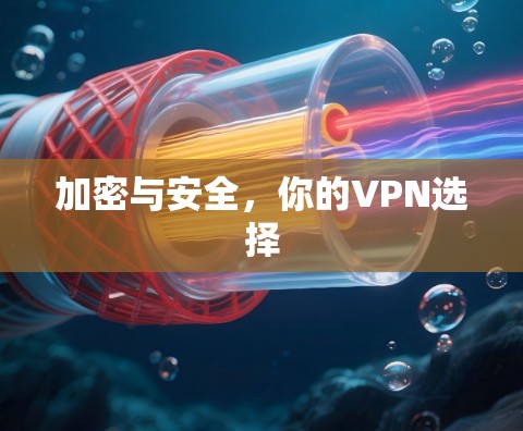 加密与安全，你的VPN选择