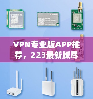 VPN专业版APP推荐，223最新版尽在AppStore