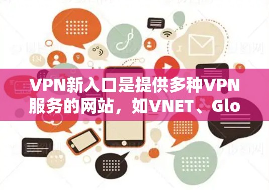 VPN新入口是提供多种VPN服务的网站，如VNET、Gloved和X1，这些网站通常整合了端到端加密、快速连接、过滤邮件等功能。为了确保安全和隐私，我需要