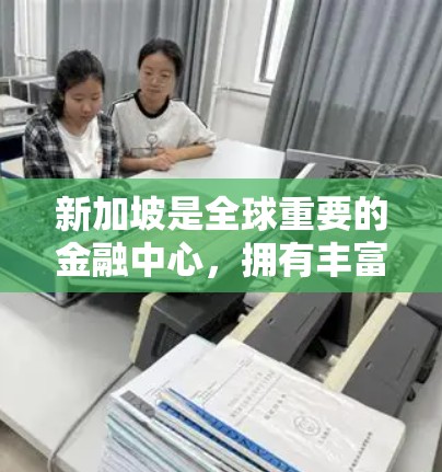新加坡是全球重要的金融中心，拥有丰富的网络和 VPN 服务。新加坡运营的VPN公司主要包括