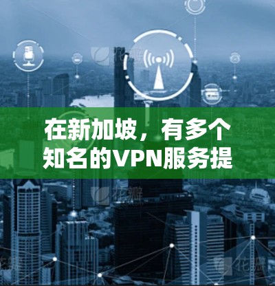 在新加坡,有多个知名的VPN服务提供商,例如 在新加坡,有多个知名的VPN服务提供商,例如