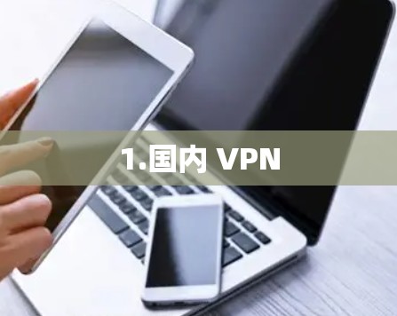 1.国内 VPN 1.国内 VPN