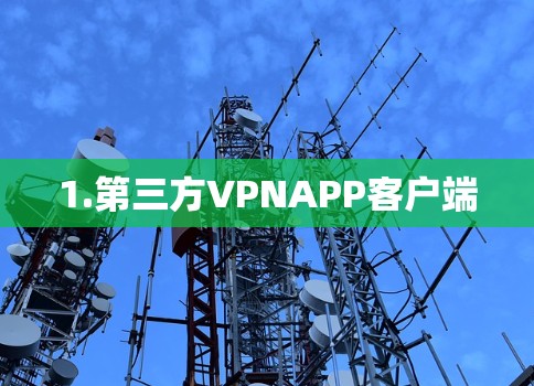 1.第三方VPNAPP客户端 1.第三方VPNAPP客户端