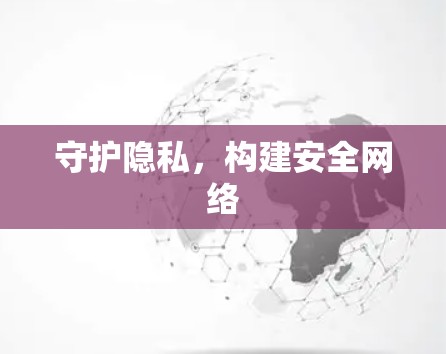 守护隐私,构建安全网络 守护隐私,构建安全网络