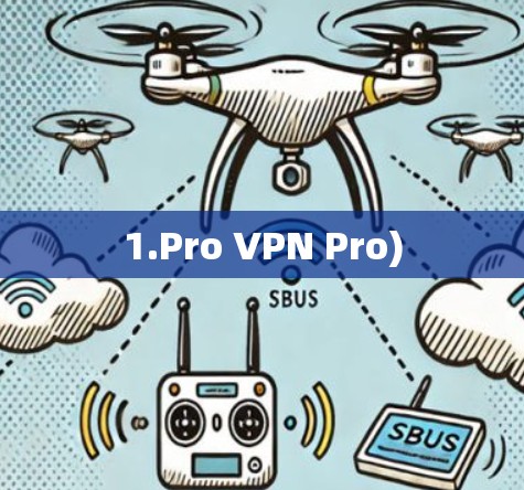 1.Pro VPN Pro)