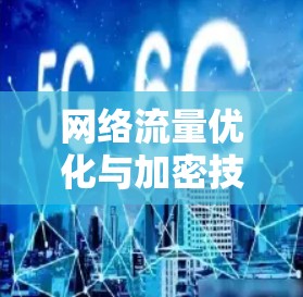 网络流量优化与加密技术,VPN网络加速器的全面解决方案 网络流量优化与加密技术,VPN网络加速器的全面解决方案