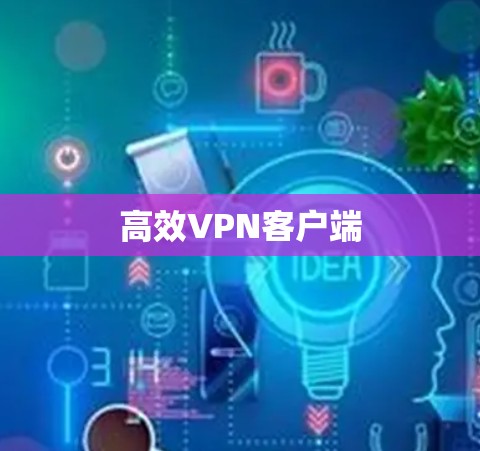 高效VPN客户端 高效VPN客户端