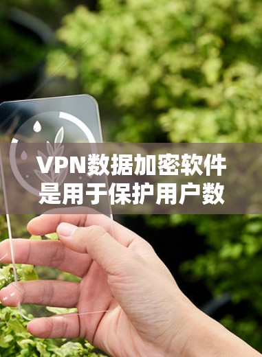 VPN数据加密软件是用于保护用户数据加密传输的工具。以下是几种常见的VPN数据加密软件及其特点