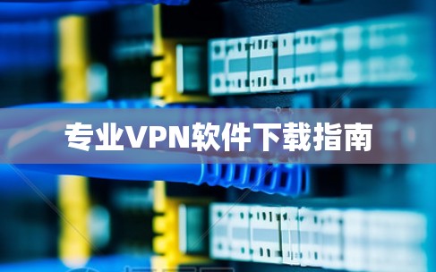 专业VPN软件下载指南 专业VPN软件下载指南