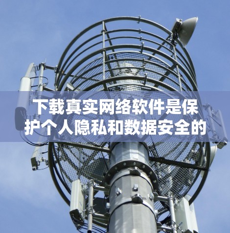 下载真实网络软件是保护个人隐私和数据安全的重要步骤。以下是一些详细的步骤和方法,帮助您在真实网络环境中下载和使用这些软件 下载真实网络软件是保护个人隐私和数据安全的重要步骤。以下是一些详细的步骤和方法,帮助您在真实网络环境中下载和使用这些软件