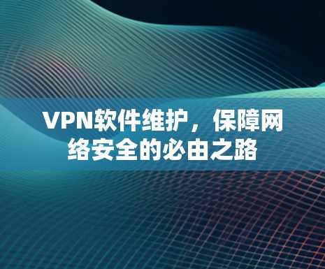 VPN软件维护，保障网络安全的必由之路