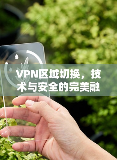 VPN区域切换,技术与安全的完美融合 VPN区域切换,技术与安全的完美融合