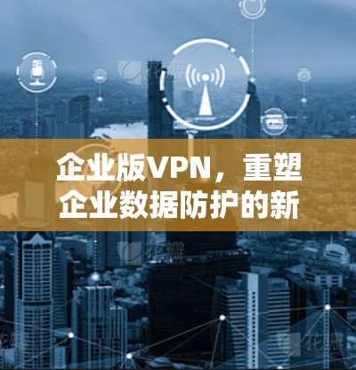 企业版VPN,重塑企业数据防护的新范式 企业版VPN,重塑企业数据防护的新范式